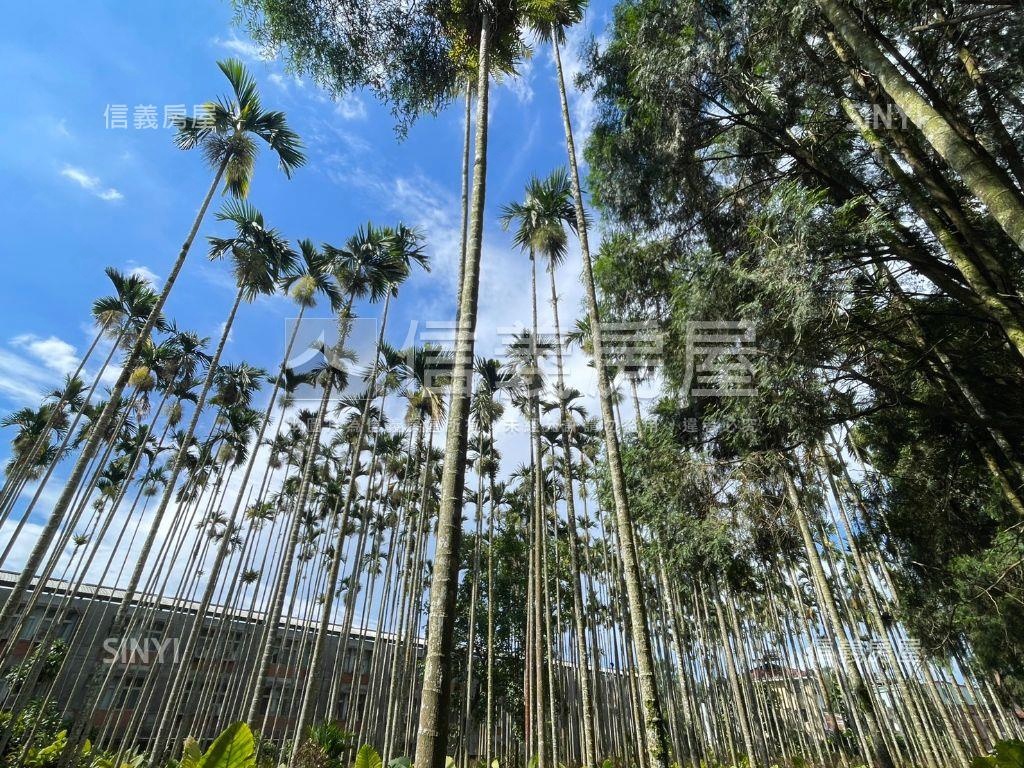 南投魚池千坪土地房屋室內格局與周邊環境