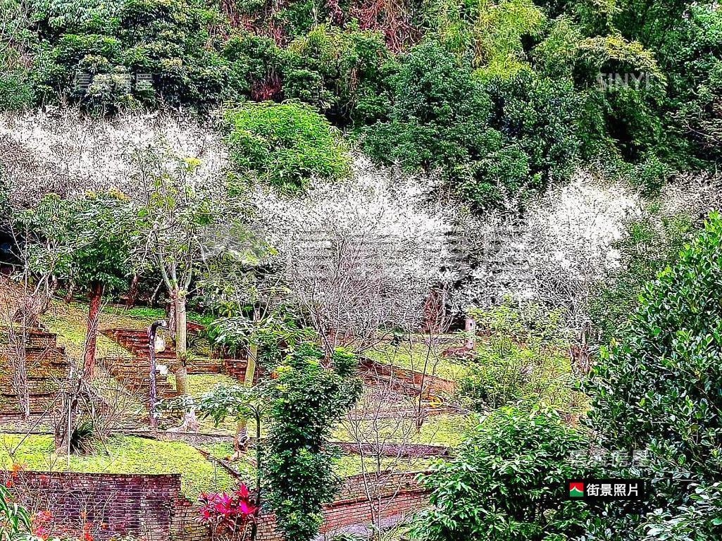 一層兩戶｜高樓靜謐視野宅房屋室內格局與周邊環境