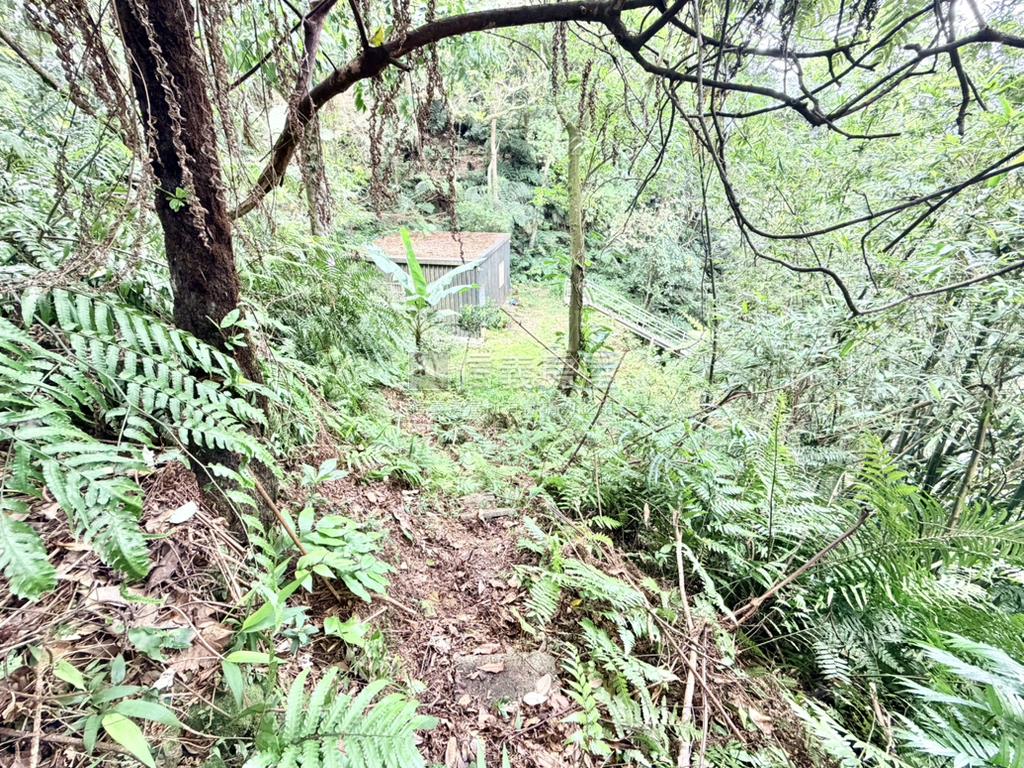 資材室空間土地（明山）房屋室內格局與周邊環境