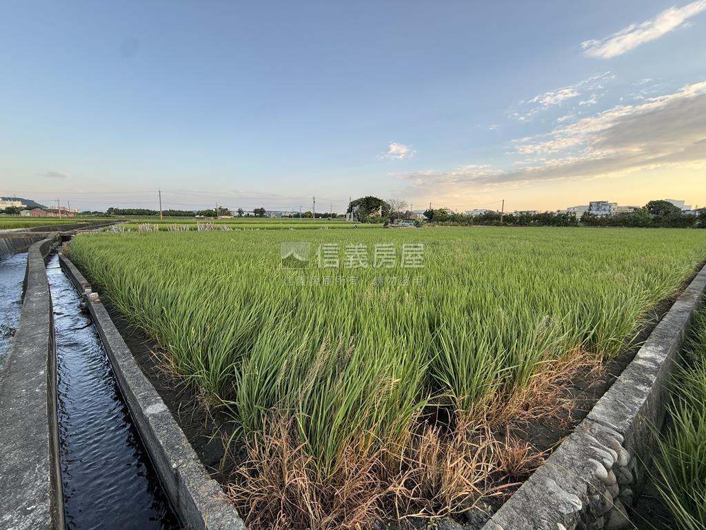 大安都計內農地約２．６分房屋室內格局與周邊環境