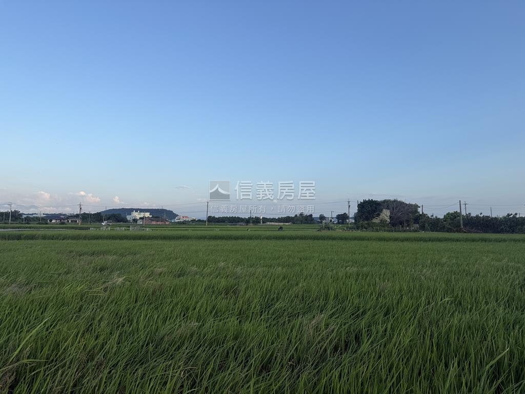 大安都計內農地約２．６分房屋室內格局與周邊環境