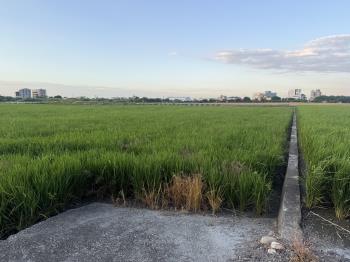 大安都計內農地約２．６分