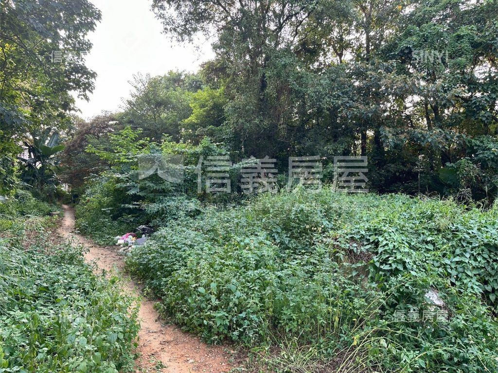 丙建方正好土地房屋室內格局與周邊環境