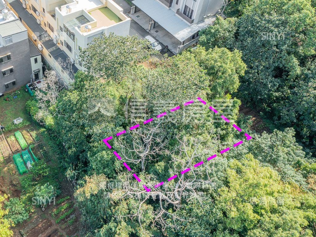 丙建方正好土地房屋室內格局與周邊環境