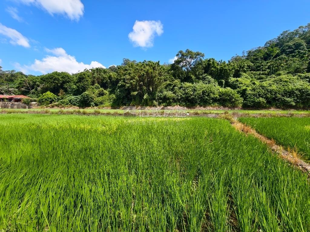 璞玉農地資材室房屋室內格局與周邊環境