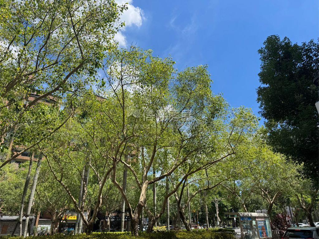 近國館靜巷邊間三房美寓房屋室內格局與周邊環境