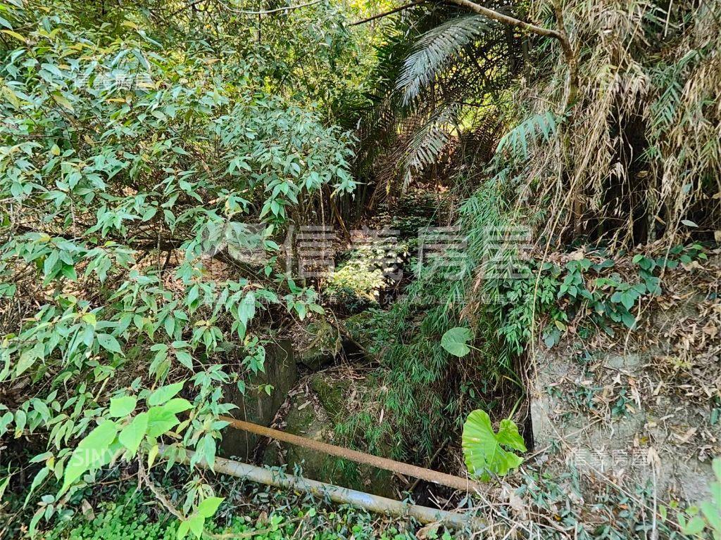 苗栗出礦坑台灣石油發祥地房屋室內格局與周邊環境