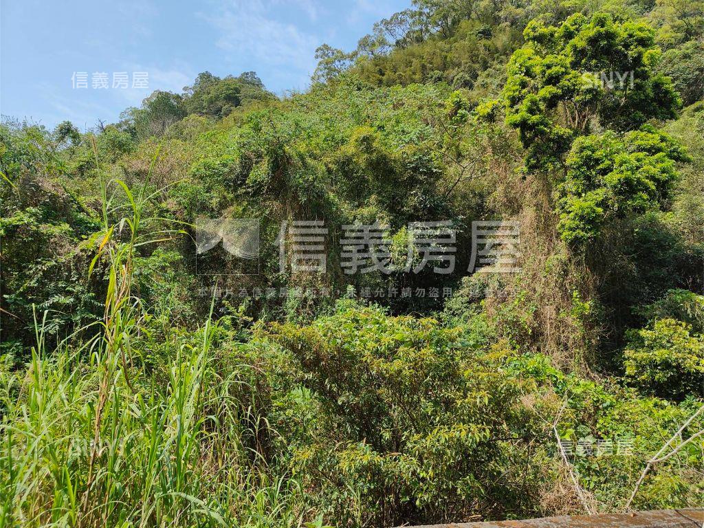 苗栗出礦坑台灣石油發祥地房屋室內格局與周邊環境