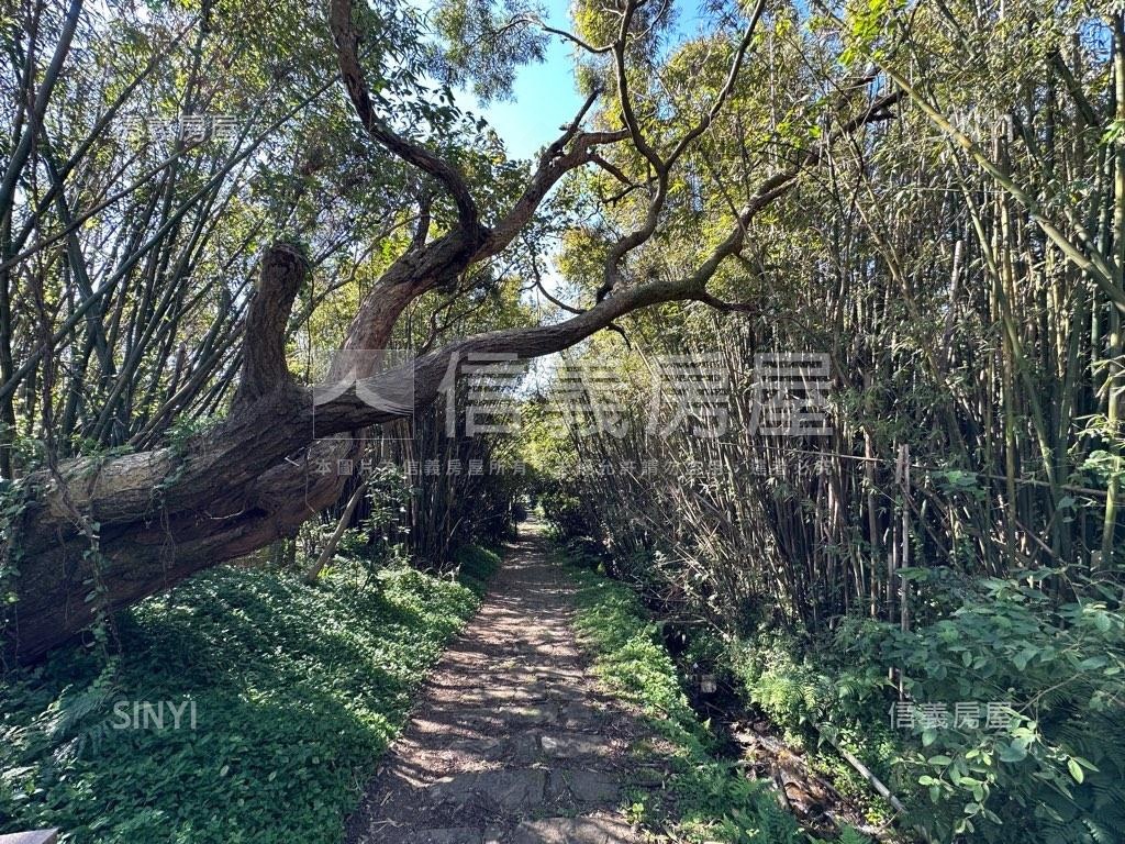 溪山段三小段土地房屋室內格局與周邊環境
