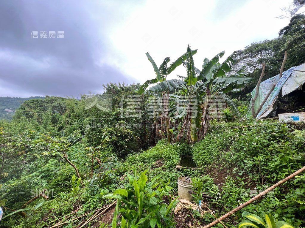 溪山段三小段土地房屋室內格局與周邊環境