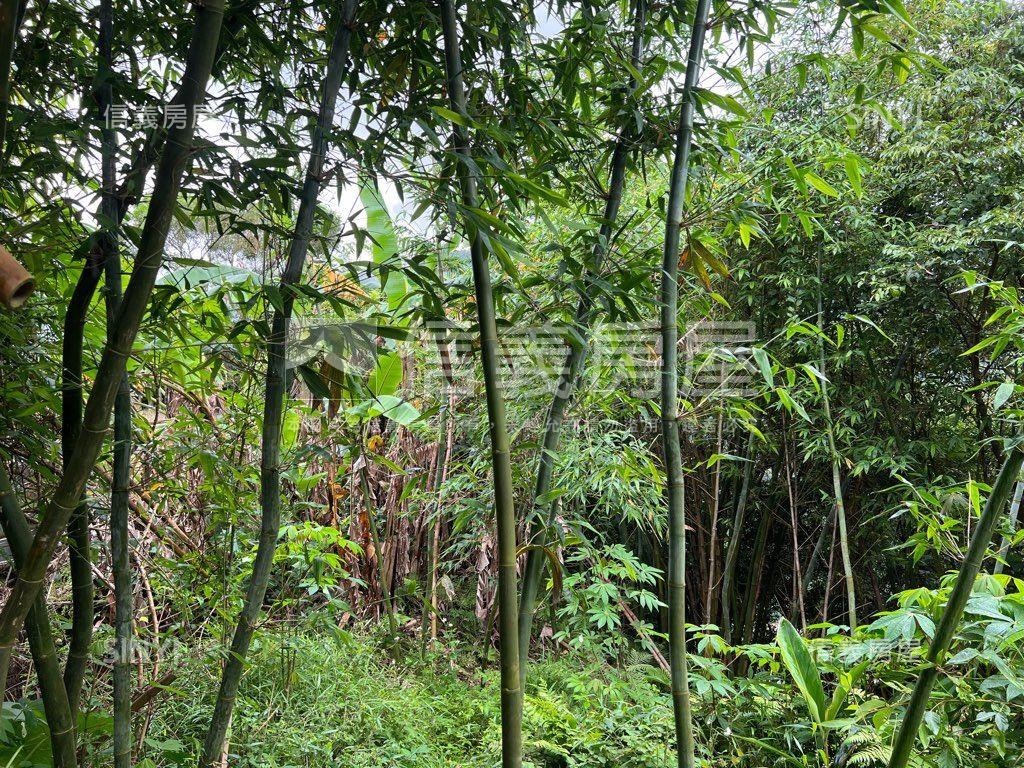 溪山段三小段土地房屋室內格局與周邊環境