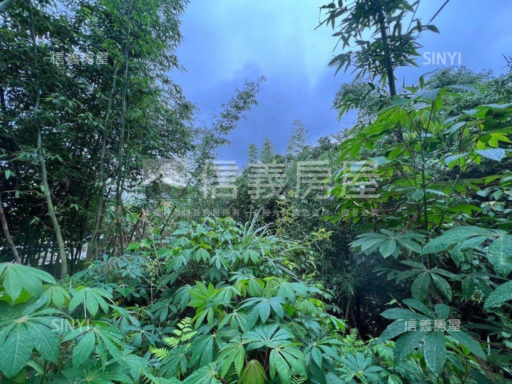 溪山段三小段土地房屋室內格局與周邊環境