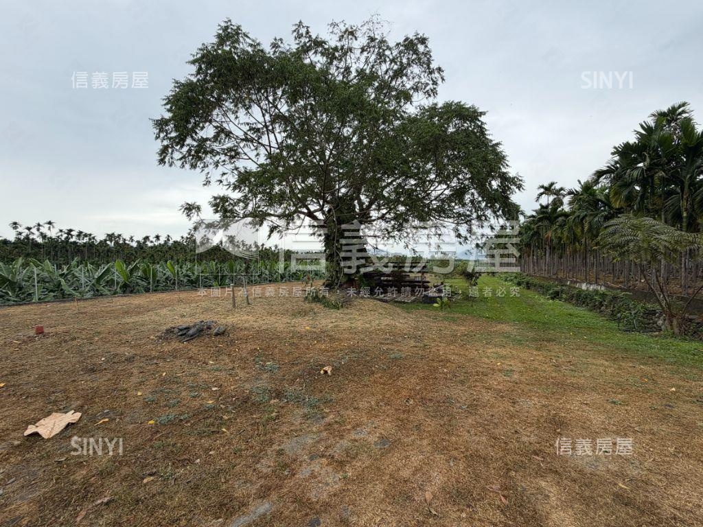 屏東高樹鄉千坪農地房屋室內格局與周邊環境