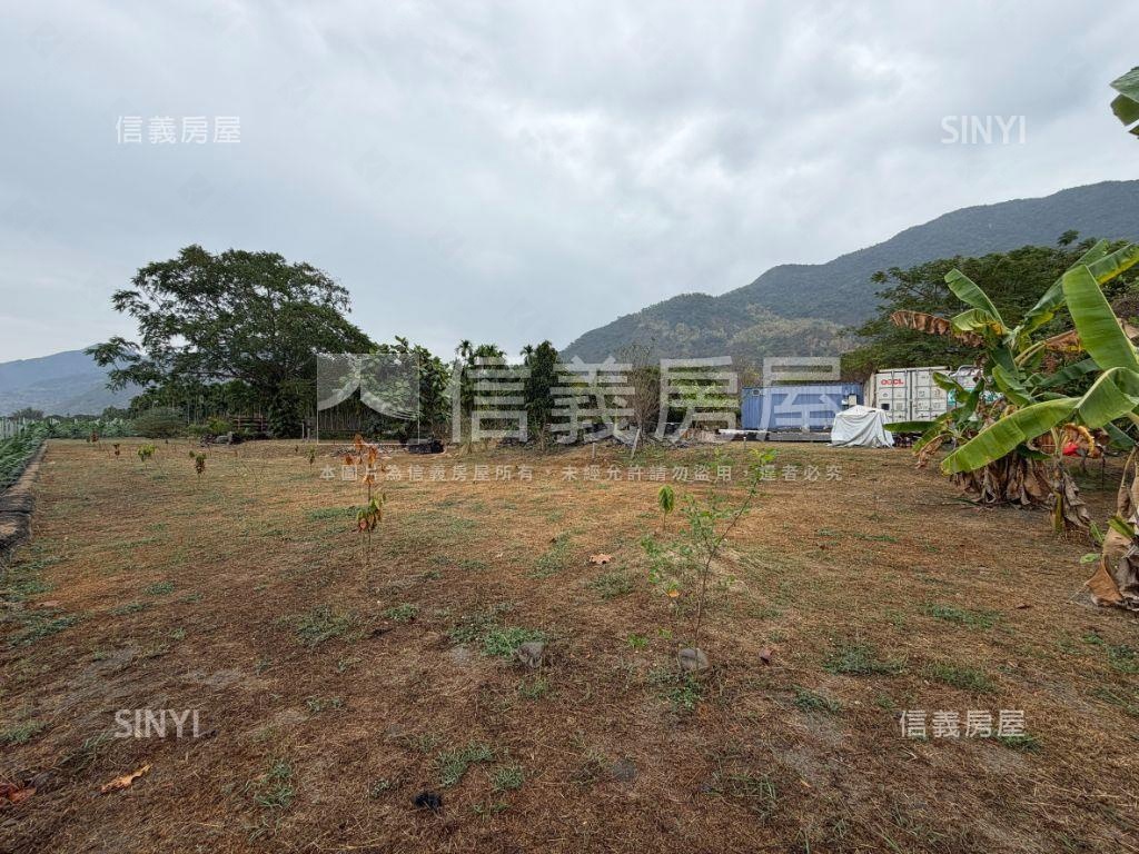 屏東高樹鄉千坪農地房屋室內格局與周邊環境