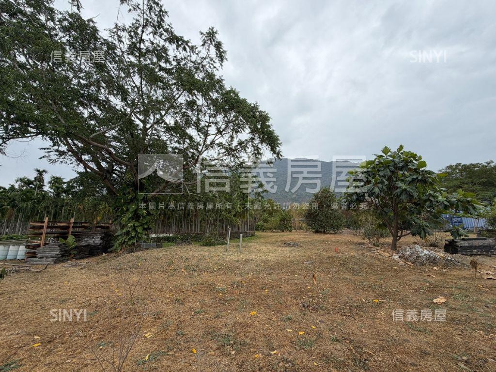 屏東高樹鄉千坪農地房屋室內格局與周邊環境