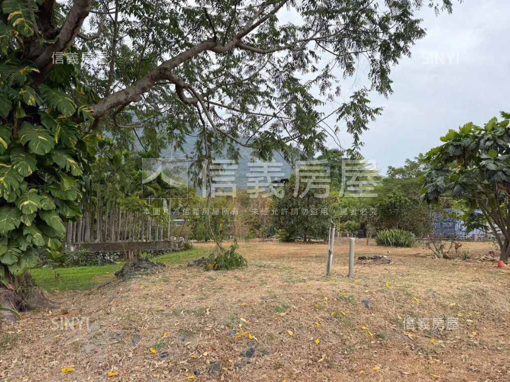 屏東高樹鄉千坪農地房屋室內格局與周邊環境