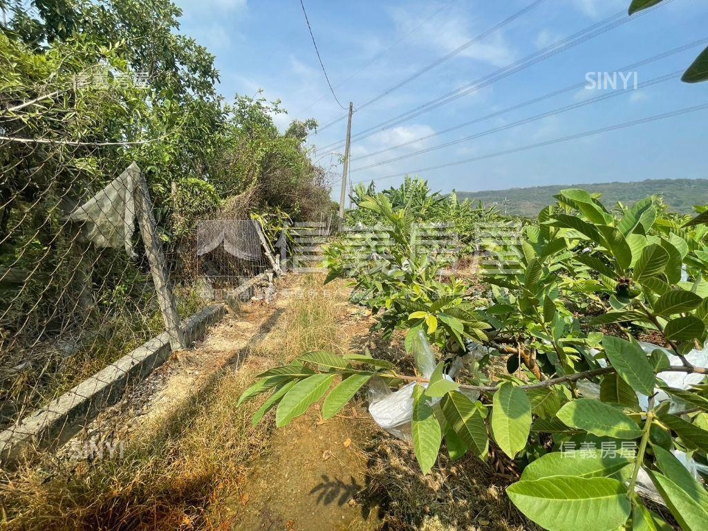 北高產業園區旁芭樂園房屋室內格局與周邊環境