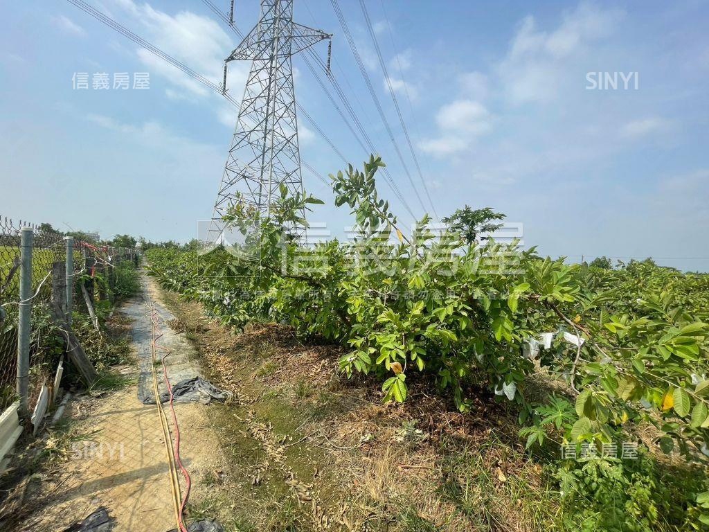 北高產業園區旁芭樂園房屋室內格局與周邊環境