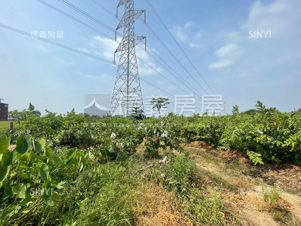 北高產業園區旁芭樂園房屋室內格局與周邊環境