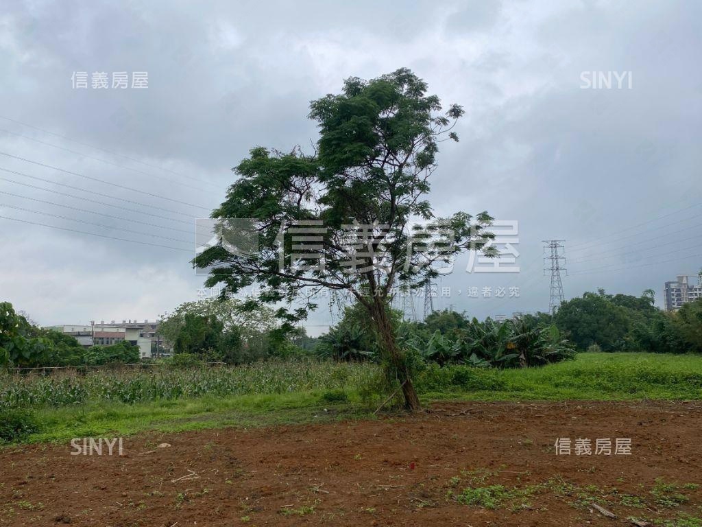 草厝江潛力土地房屋室內格局與周邊環境