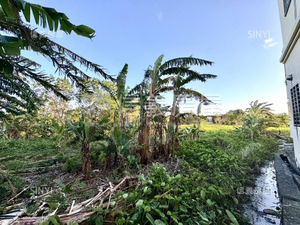 蘆興段土地房屋室內格局與周邊環境