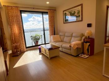 青埔高鐵宏普領袖精美三房