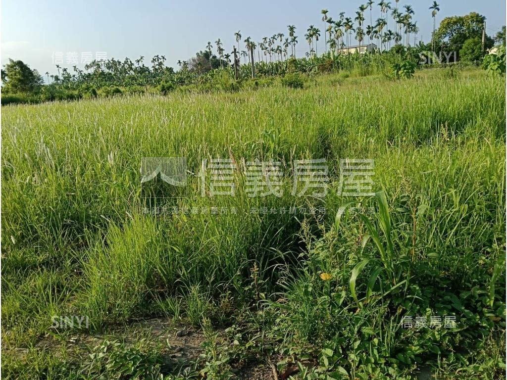 旗山區臨中華路上農地房屋室內格局與周邊環境