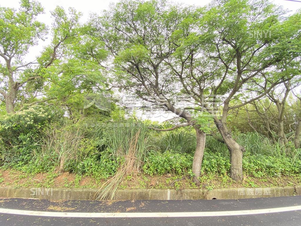 觀音金湖方正美農地房屋室內格局與周邊環境