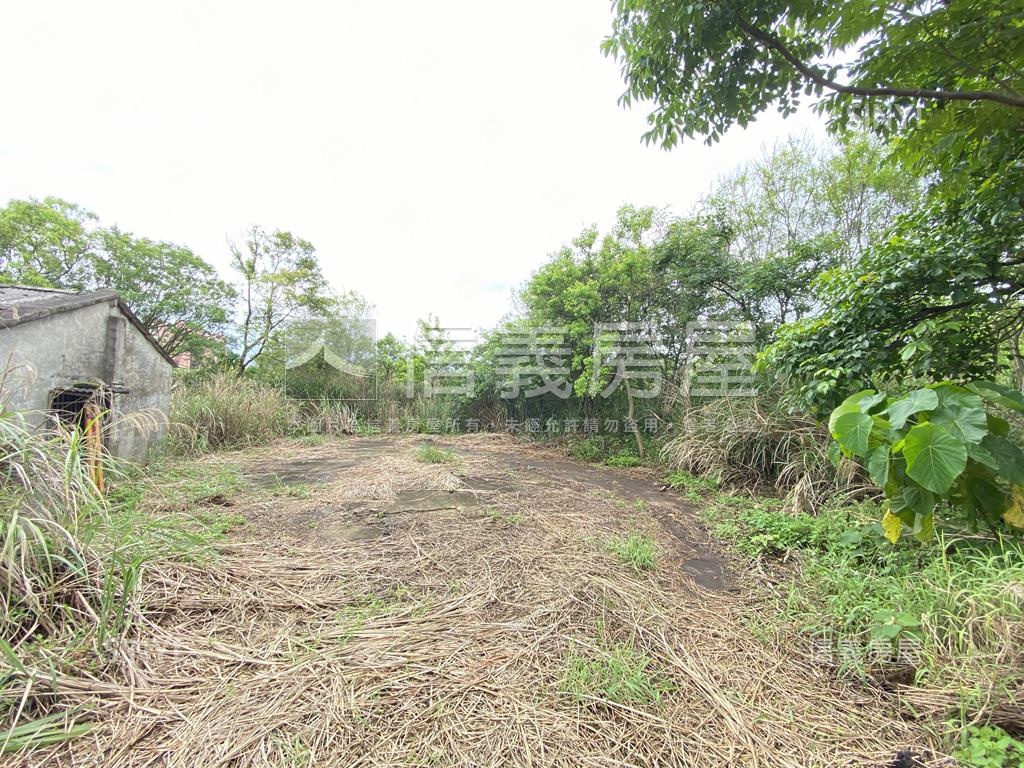 觀音金湖方正美農地房屋室內格局與周邊環境