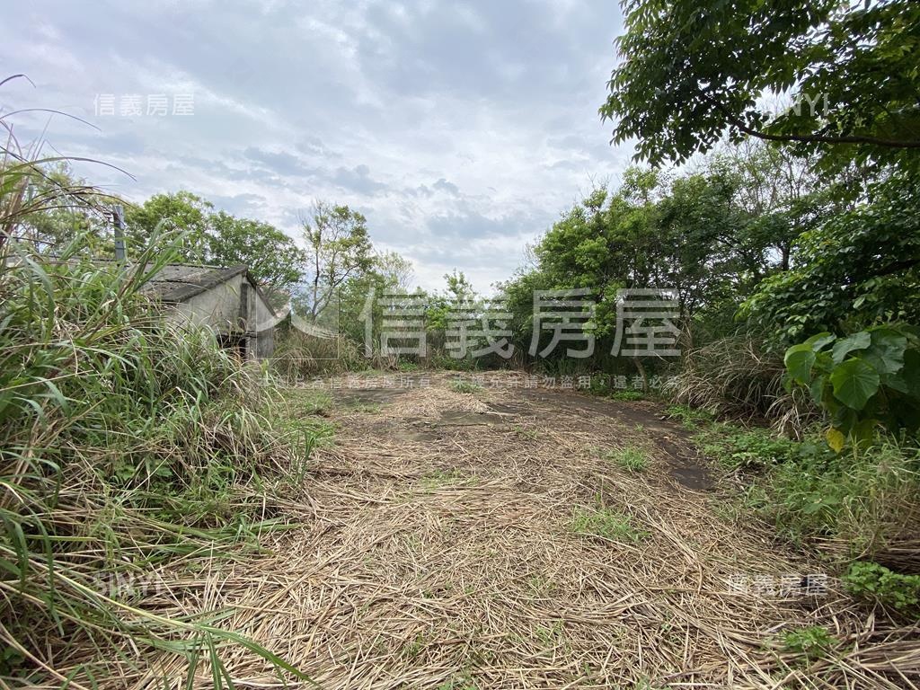 觀音金湖方正美農地房屋室內格局與周邊環境