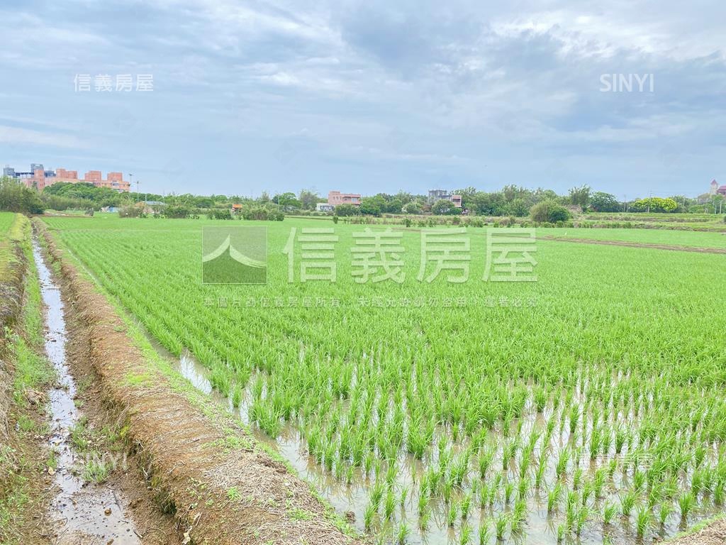 觀音金湖方正美農地房屋室內格局與周邊環境