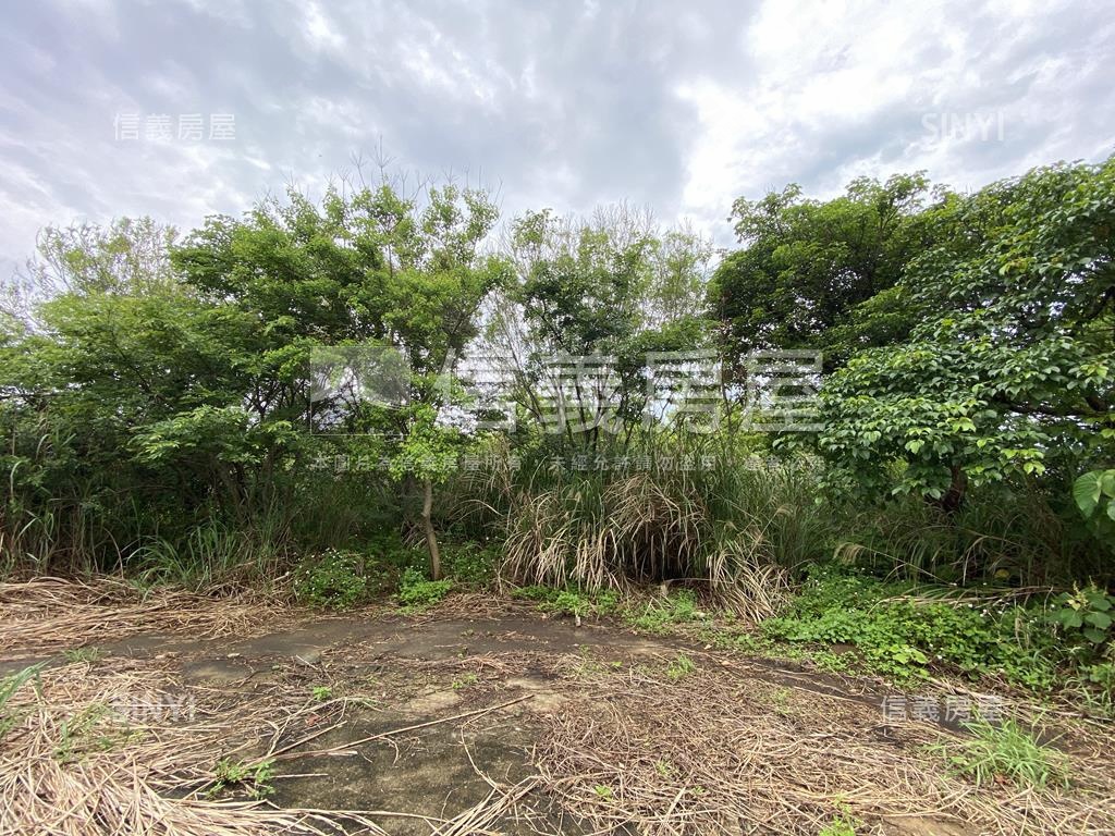 觀音金湖方正美農地房屋室內格局與周邊環境
