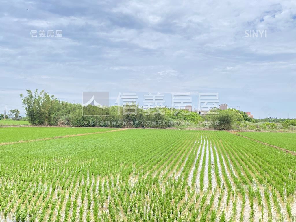 觀音金湖方正美農地房屋室內格局與周邊環境