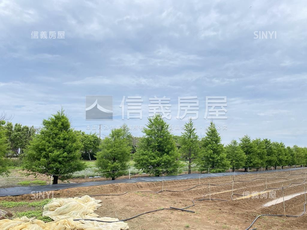 觀音金湖方正美農地房屋室內格局與周邊環境