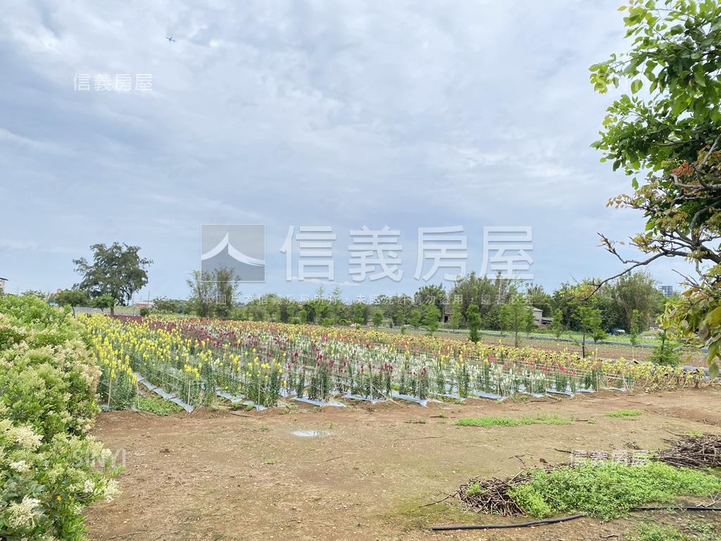 觀音金湖方正美農地房屋室內格局與周邊環境