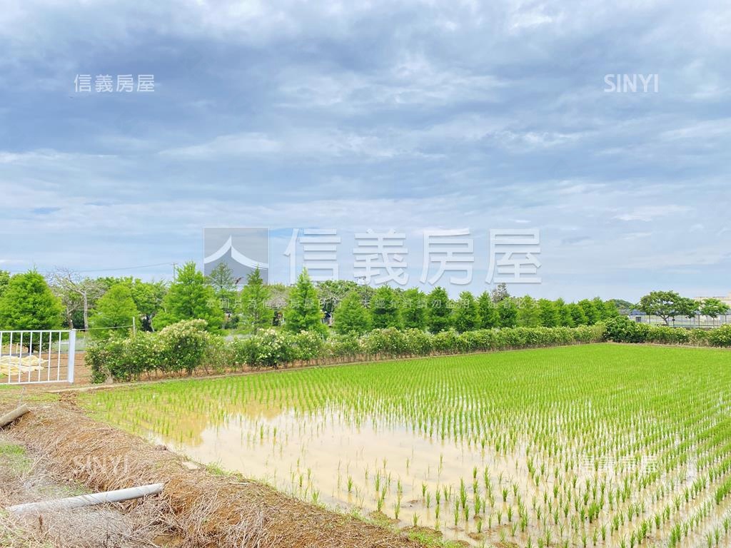 觀音金湖方正美農地房屋室內格局與周邊環境