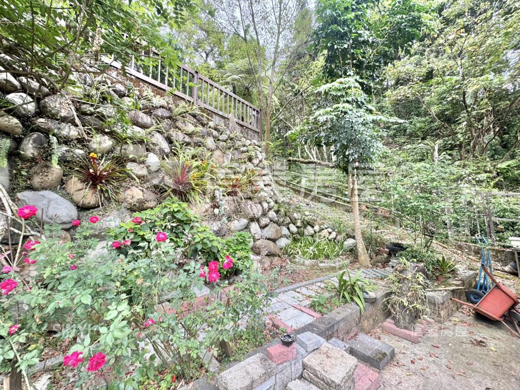 東勢和平買地送小木屋房屋室內格局與周邊環境