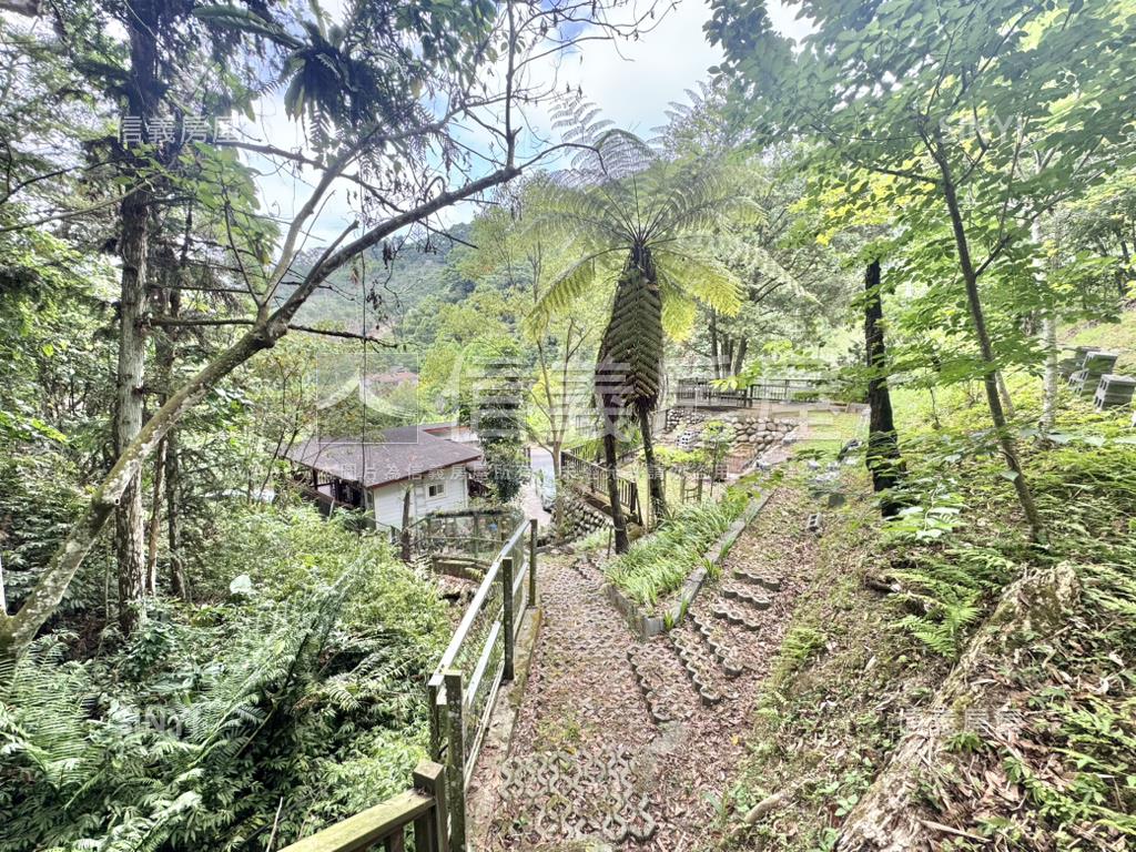 東勢和平買地送小木屋房屋室內格局與周邊環境