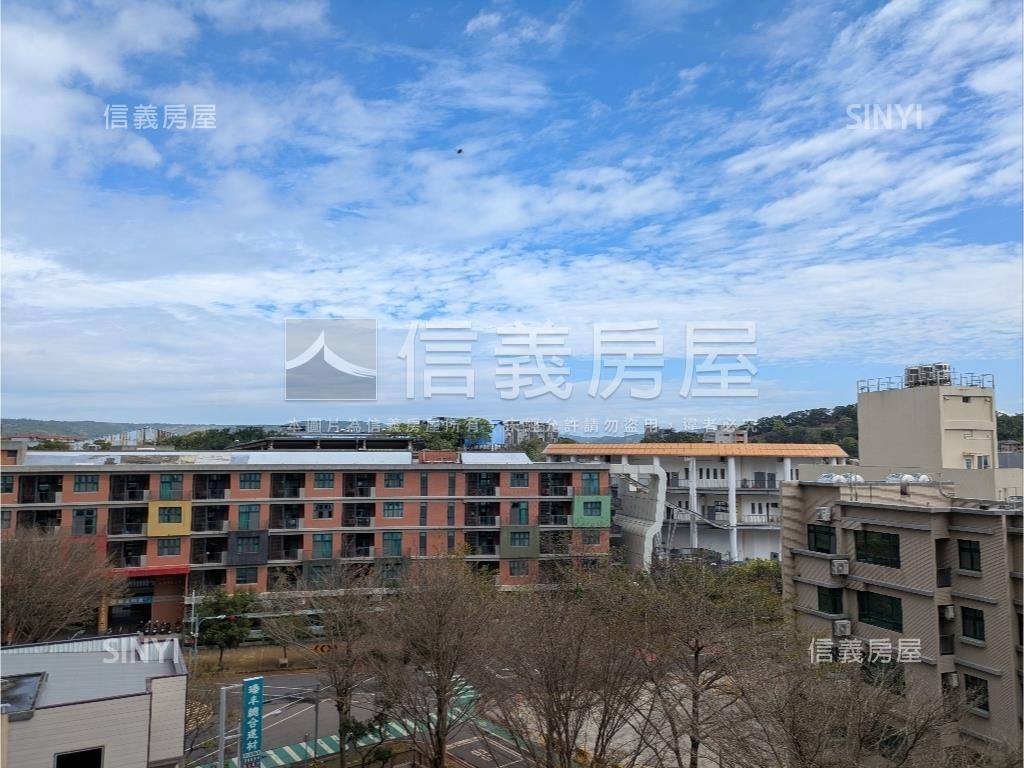 椰林懂厚附雙連號平面車位房屋室內格局與周邊環境