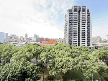 富邦藝樹★前棟★樹海