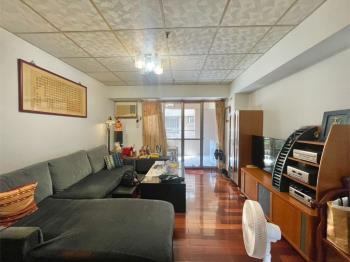 興進園道高樓視野三房平車