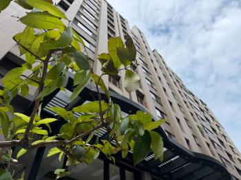 精科商圈２房平車衛浴開窗