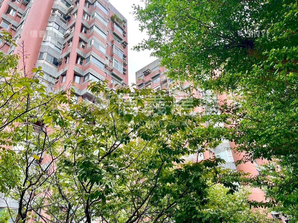 新－松仁綠意電梯三房車位房屋室內格局與周邊環境