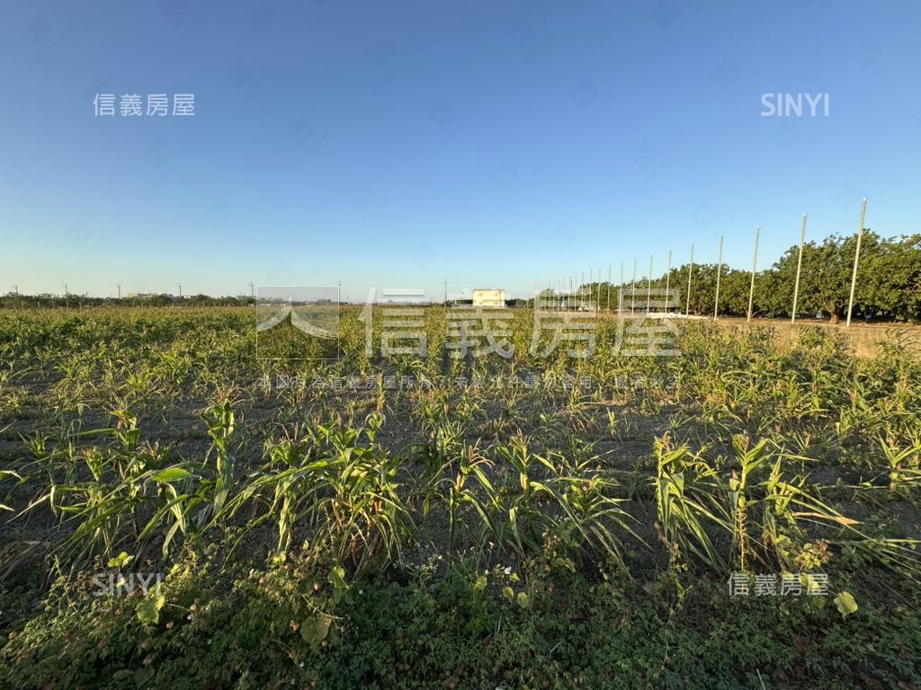 台南麻豆約９５２坪土地房屋室內格局與周邊環境