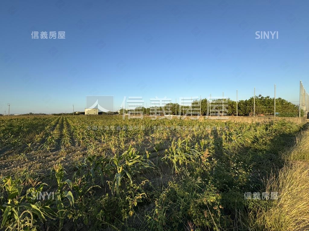 台南麻豆約９５２坪土地房屋室內格局與周邊環境