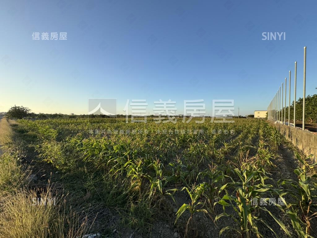 台南麻豆約９５２坪土地房屋室內格局與周邊環境