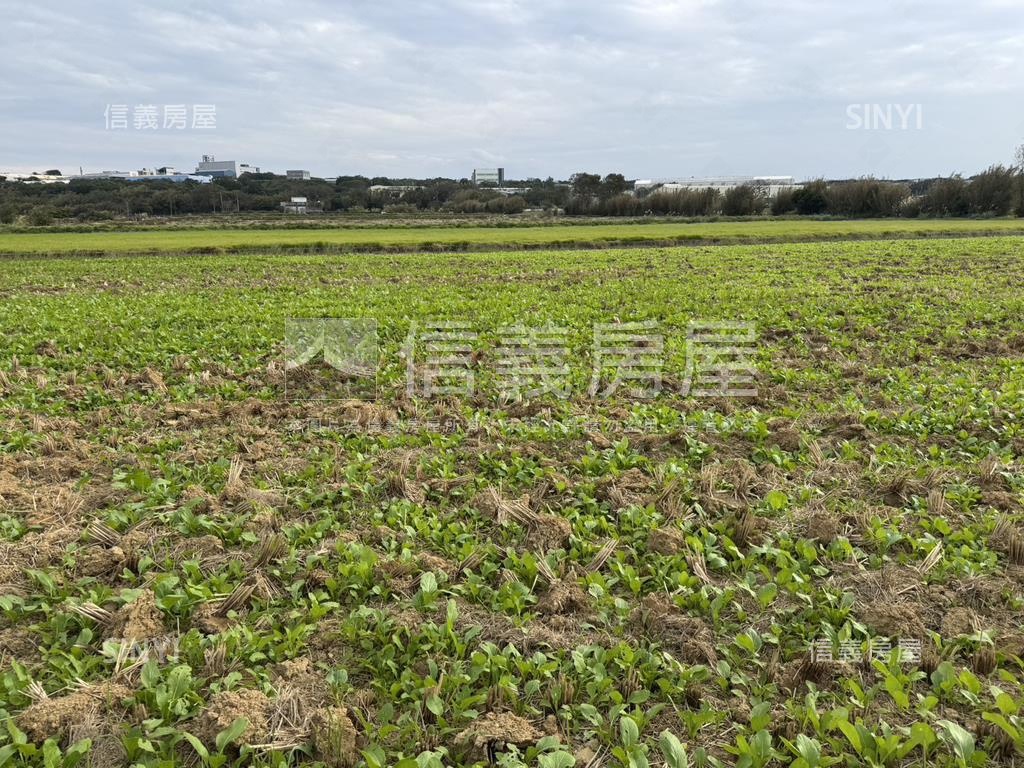 新屋農地田園生活房屋室內格局與周邊環境