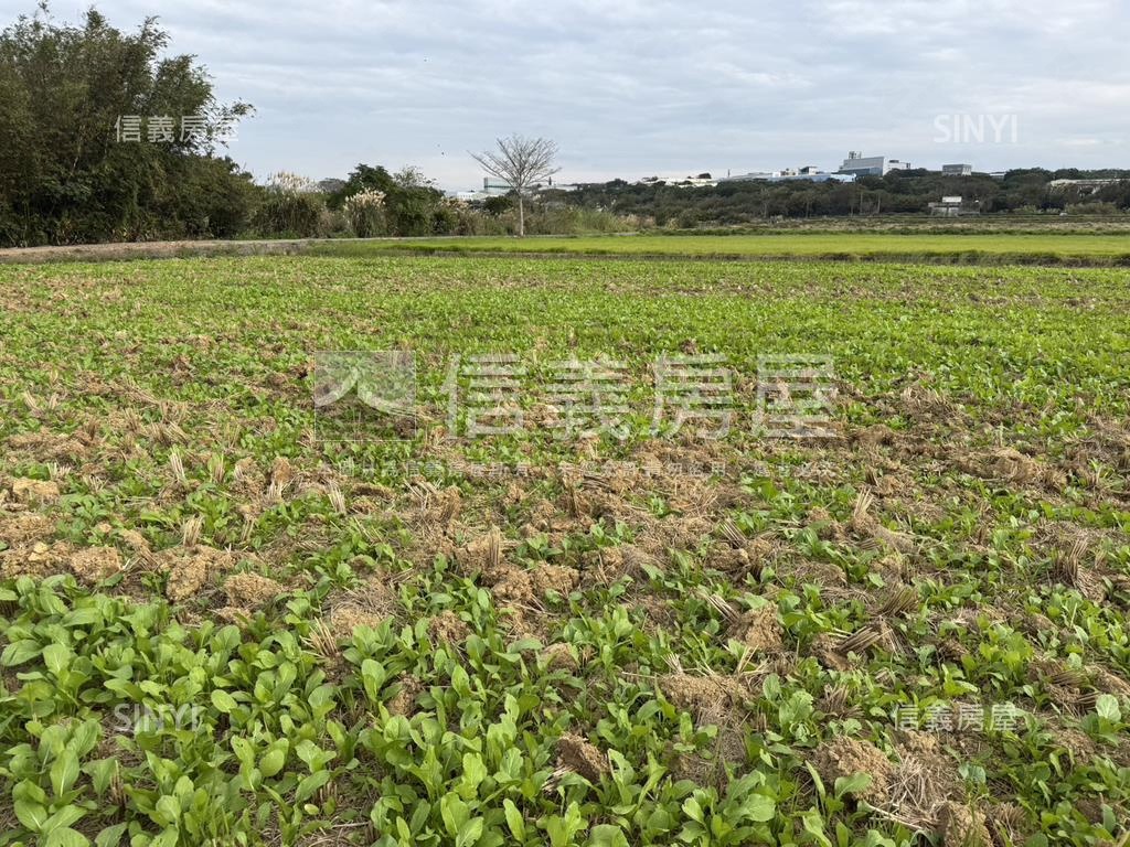 新屋農地田園生活房屋室內格局與周邊環境