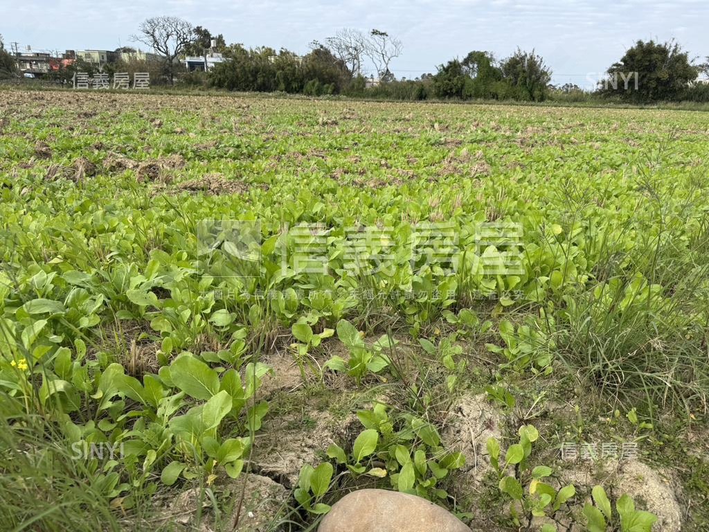 新屋農地田園生活房屋室內格局與周邊環境
