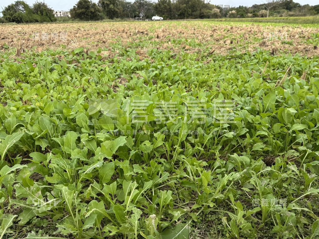 新屋農地田園生活房屋室內格局與周邊環境